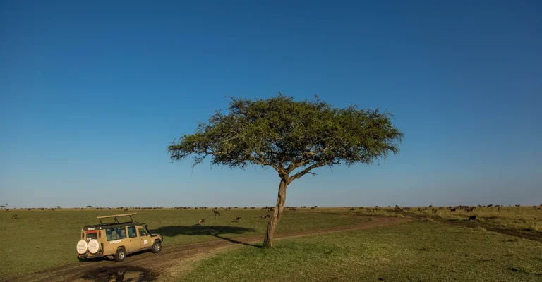 safaris-aventura_en_tanzania